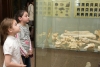 18 мая в Международный день музеев пройдет акция «Ночь в музее» в Абхазии