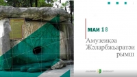 18 мая в Международный день музеев пройдёт акция «Ночь в музее» в Абхазии 
